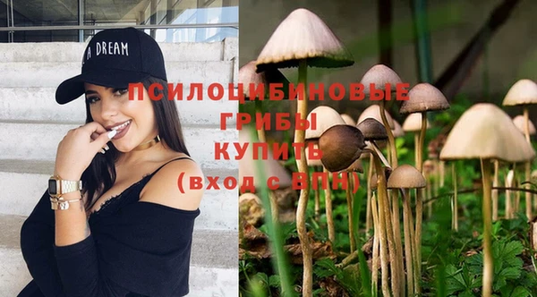 MDMA Алексеевка