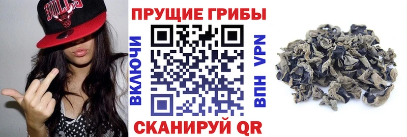 Галлюциногенные грибы MAGIC MUSHROOMS сколько стоит Билибино